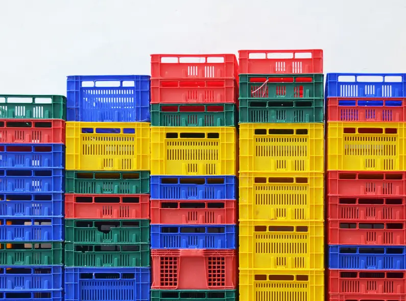 clasificación palet y cajas de plastico