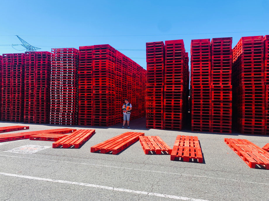 Qué es el Pooling de Palets y Cajas