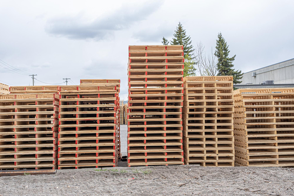 BeePallet valores medios, mínimos y máximos de los lotes por CP